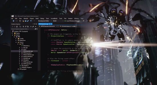 Game Developer