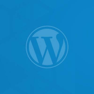 Hire WordPress Developer