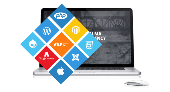 Website Development