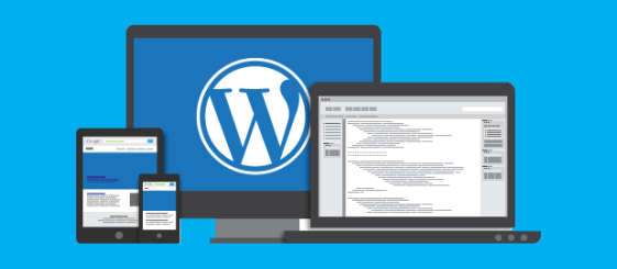Wordpress Development Company