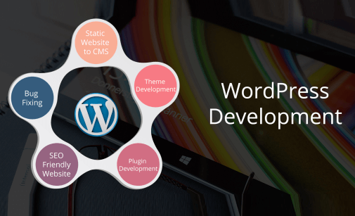 Wordpress Development Agency