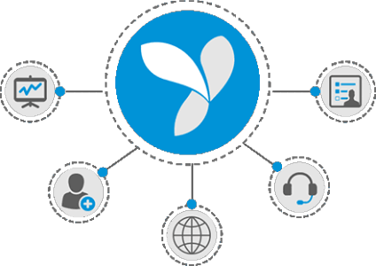 YII Development Services